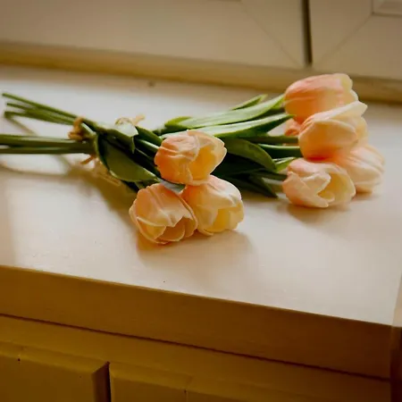 Casa Juliette By Happyhostorino